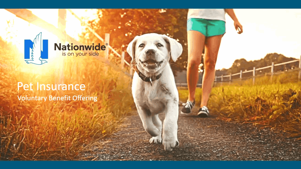 Nationwide Pet Insurance How To Apply Benefits And More Animals Adda