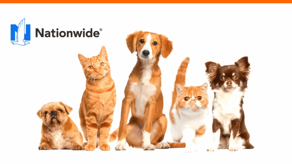 Nationwide Pet Insurance Protecting Your Furry Friends Mnepo Pets 