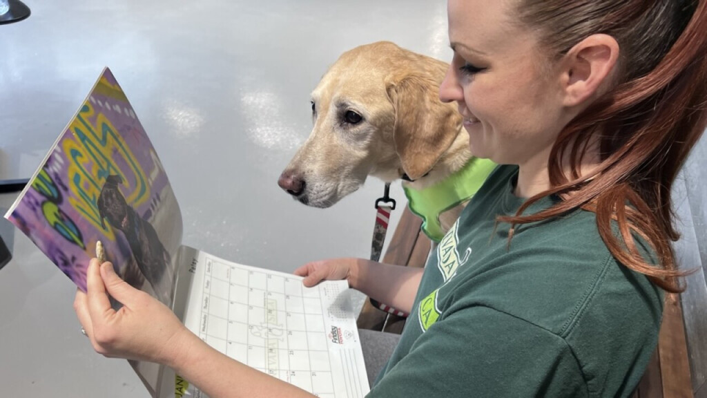 Nevada SPCA Hosting Fifth Annual Pet Calendar Contest Fundraiser