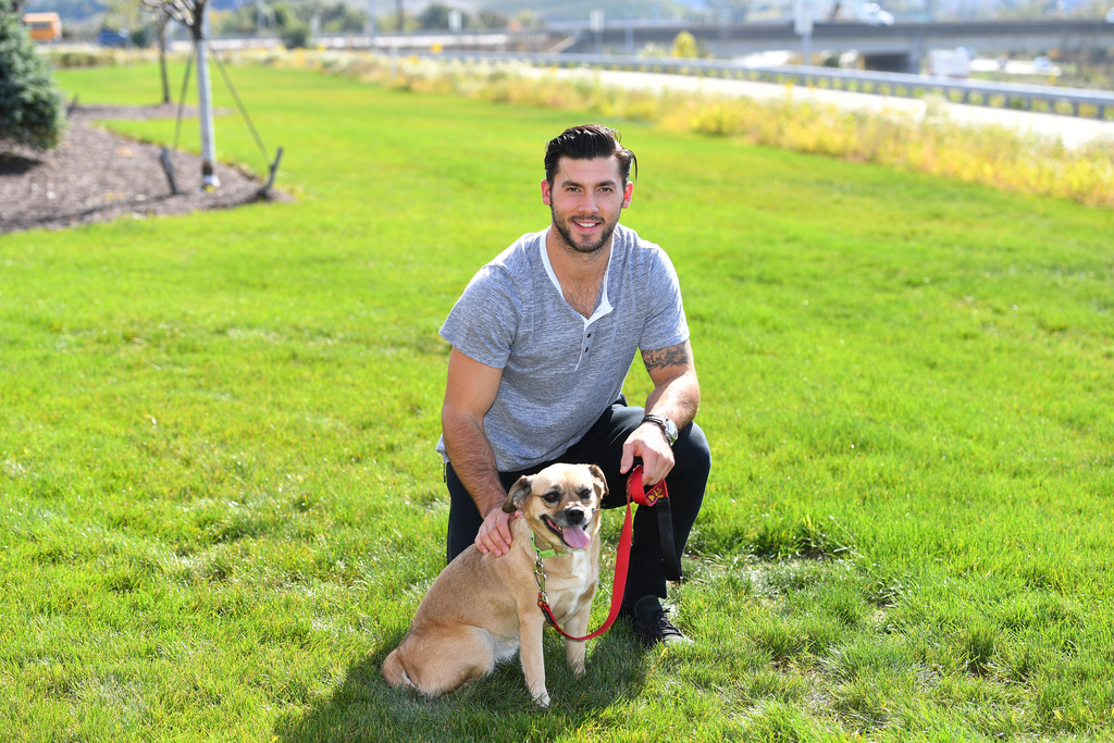 Penguins Paws Charity Pet Calendar Pittsburgh Penguins Foundation