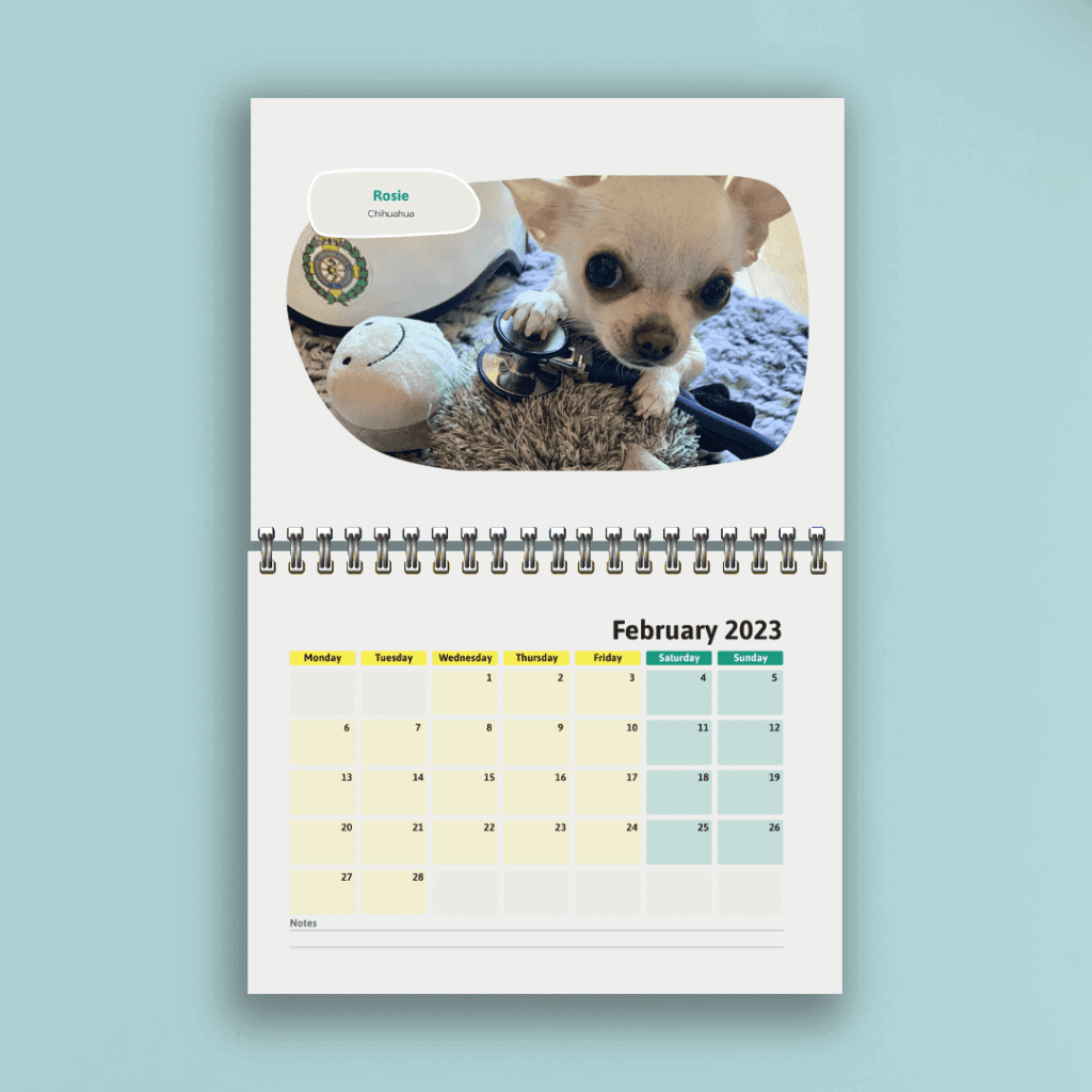 Pet Calendar 2023 TASC Online Shop