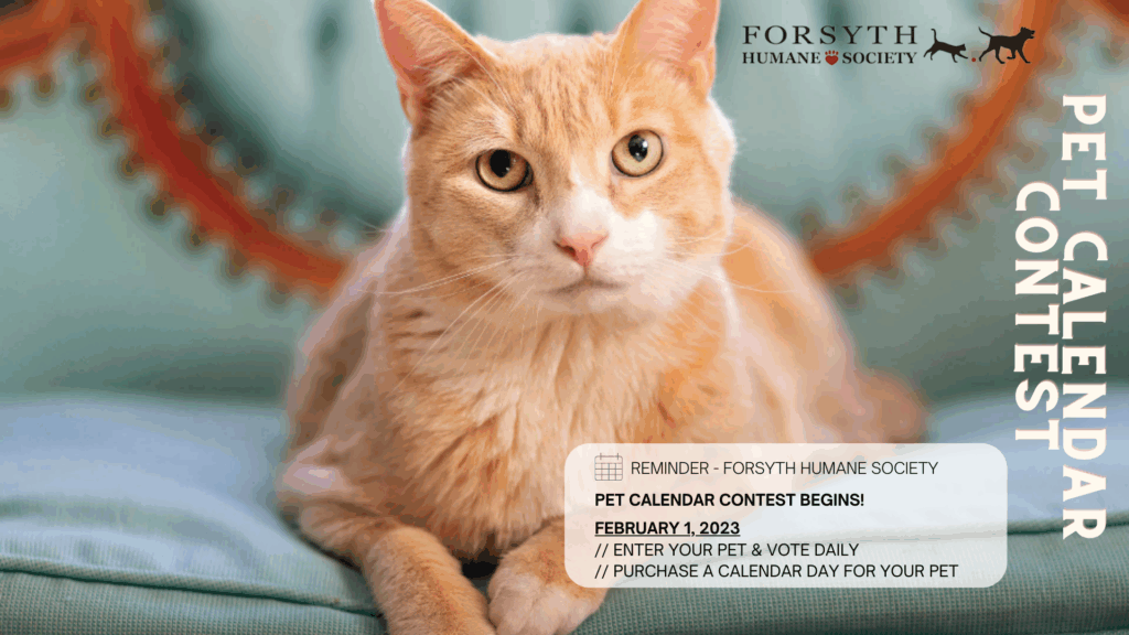 Pet Calendar Contest 2025 Winners Isaac Marshall