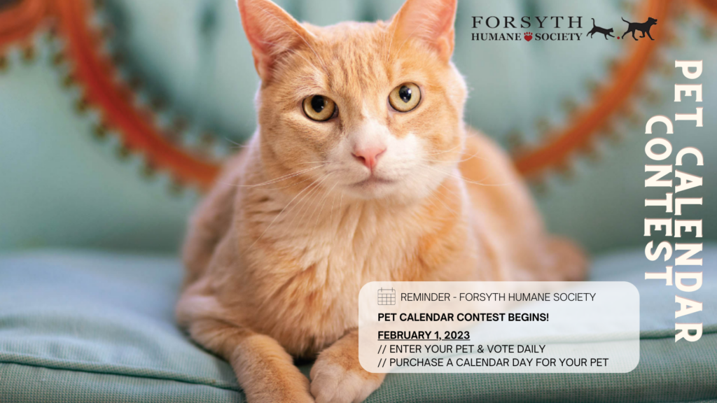 Pet Calendar Contest 2025 Winners List Megen Charmain