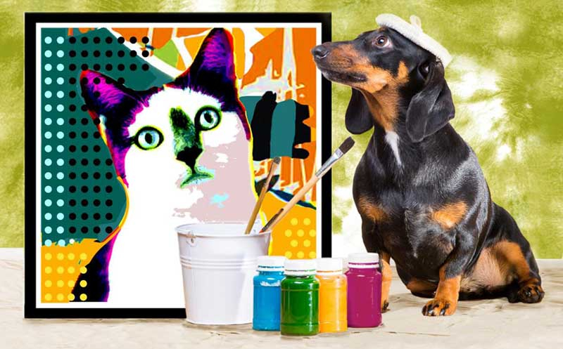 Pet Calendar Contest Is Launched The Beaches Leader Ponte Vedra Leader