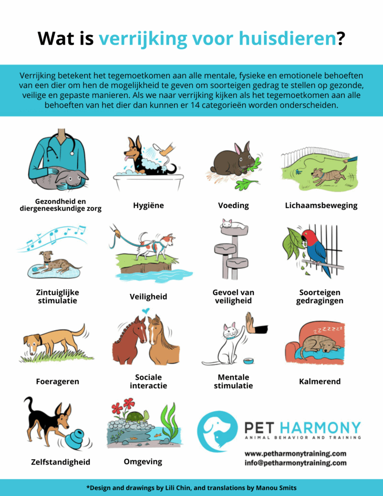 Pet Enrichment Poster Dutch Pet Harmony