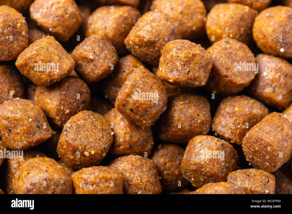Pet Food Close Up Veiw Stock Photo Alamy