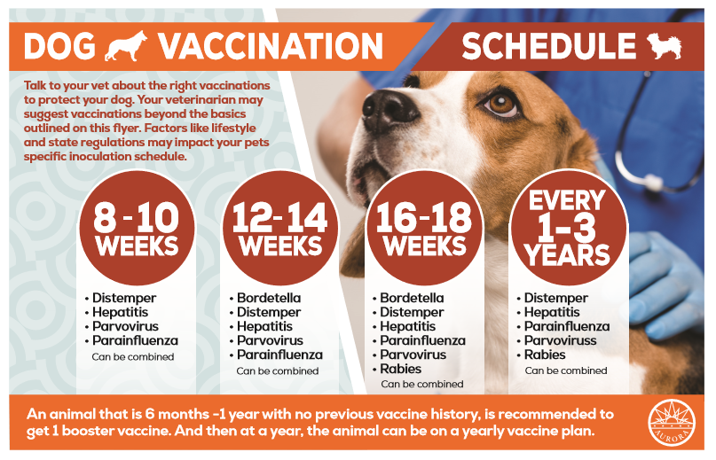 Pet Insurance What 39 s Covered PetScreening