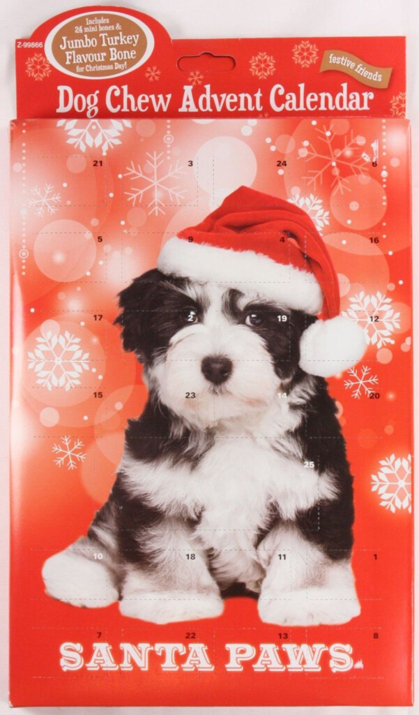 Pet Sim 99 Advent Calendar Printable Calendars AT A GLANCE