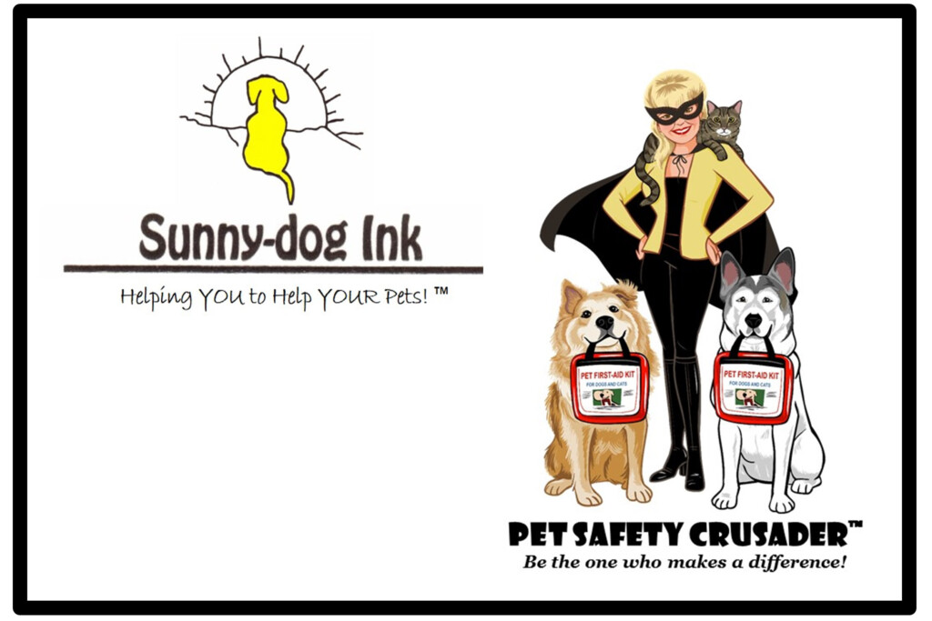 Pet Sitting Cat Sitting In Aiken SC By Aiken Pet Sitters LLC