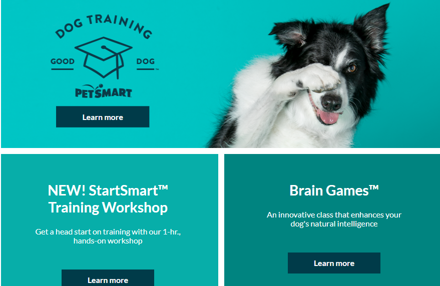 Pet Smart Dog Training A Comprehensive Guide Petsmartgo
