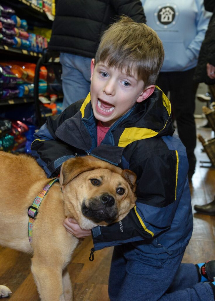 Pet Valu Event Dog Adoption Volunteer Animals