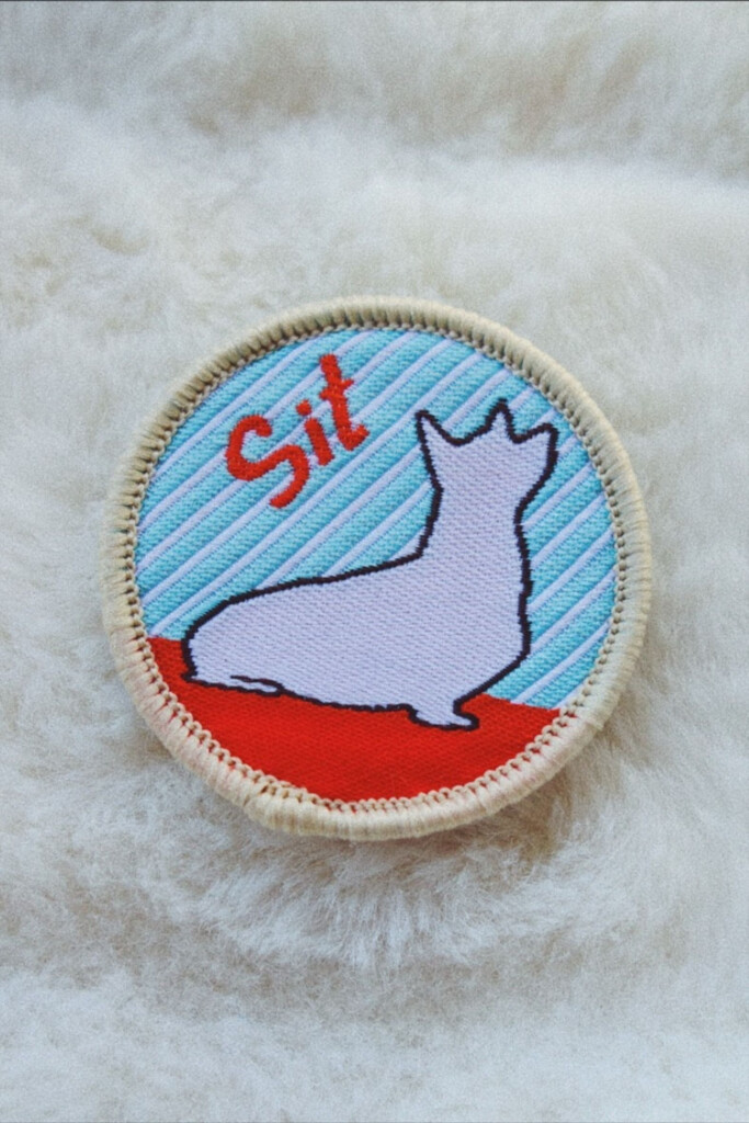 Pets Merit Badge Pamphlet Pet Spares