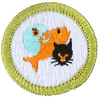 Pets Requirements Merit Badge Courses