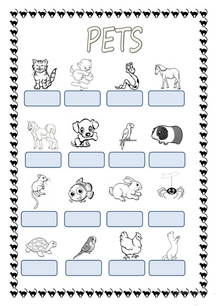 Pets Worksheet Free Esl Printable Worksheets Madeteachers Pets 