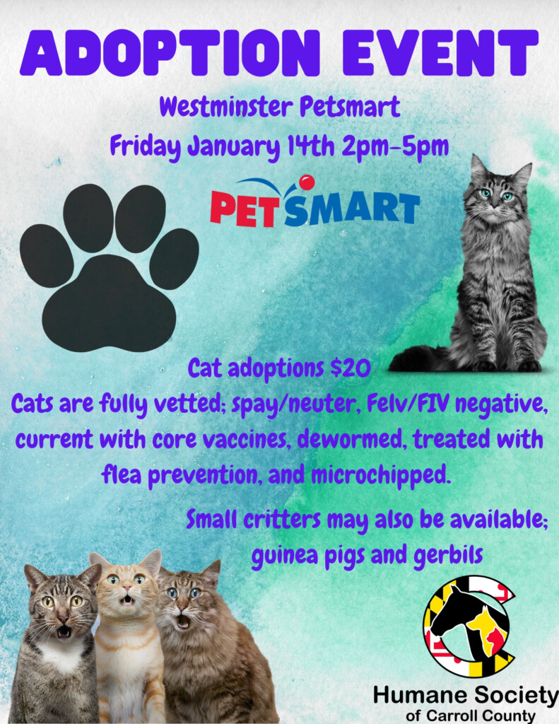 PetSmart Adoption Event Westminster Humane Society Of Carroll County