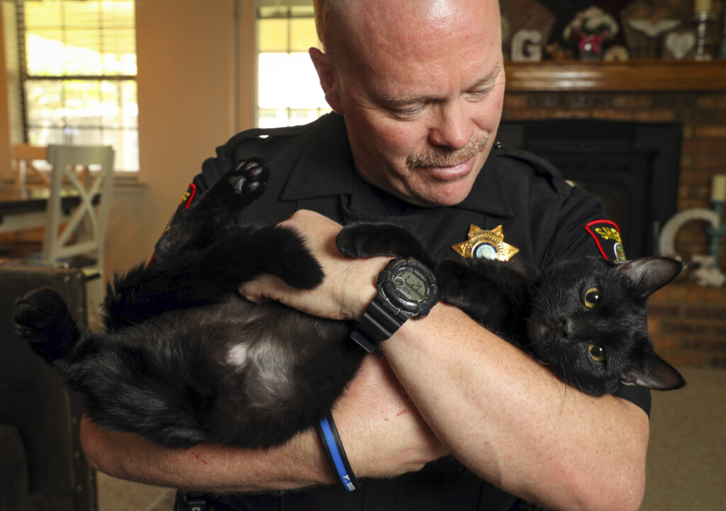 PetSmart And PetSmart Charities Celebrate 8 Millionth Pet Adoption 