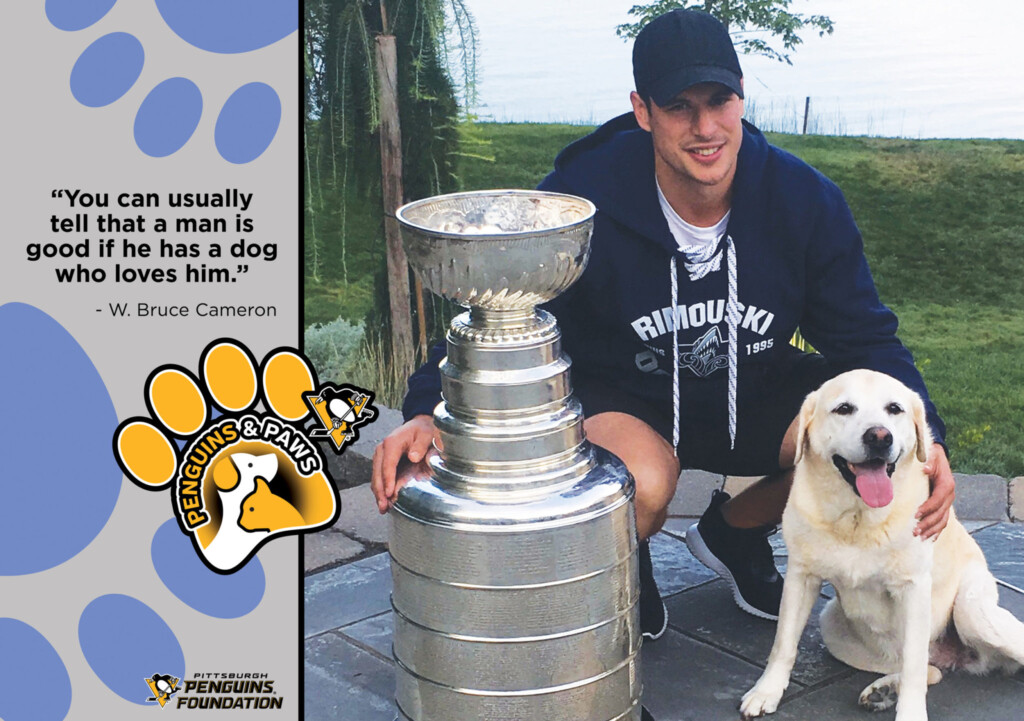 Pittsburgh Penguins Pet Calendar Anne Minetta