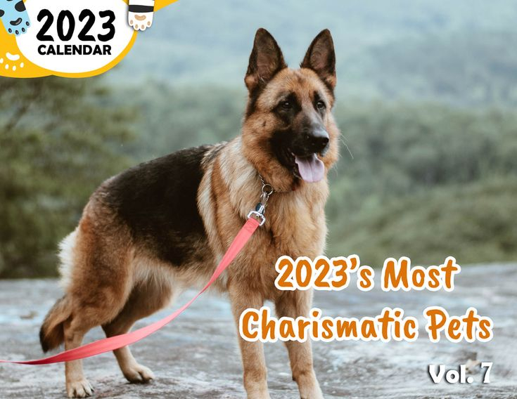 Praise My Pet Calendar 2023 Legit Printable Calendars AT A GLANCE