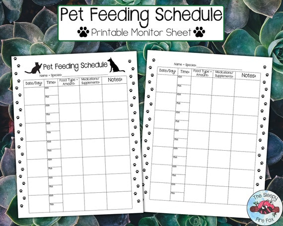 Printable Pet Feeding Schedule Pet Monitoring Sheet Etsy