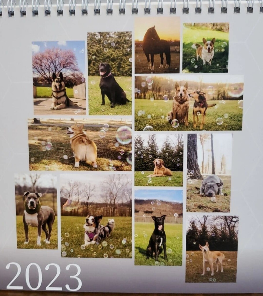 Rescue Me Calendar Fundraiser