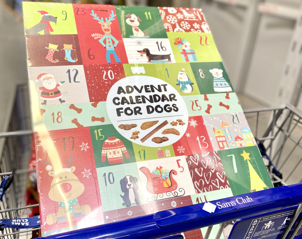 Sam 39 s Club Advent Calendar For Dogs Printable Word Searches