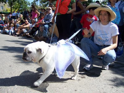 Santa Fe Journal Aka The Santa Fe Pet Parade