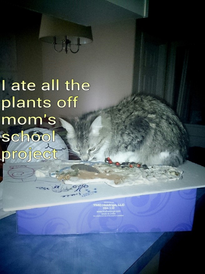 Shame Your Pet Dog Shaming Cat Shaming Shame Your Pet Page 111