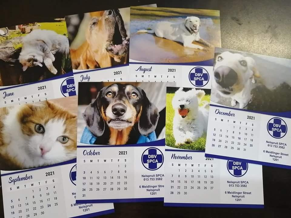 Spca Calendar 2024 May 2024 Calendar
