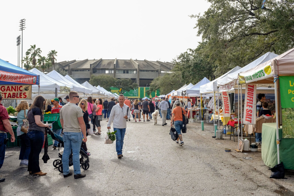 St Pete Sat Market Wayward