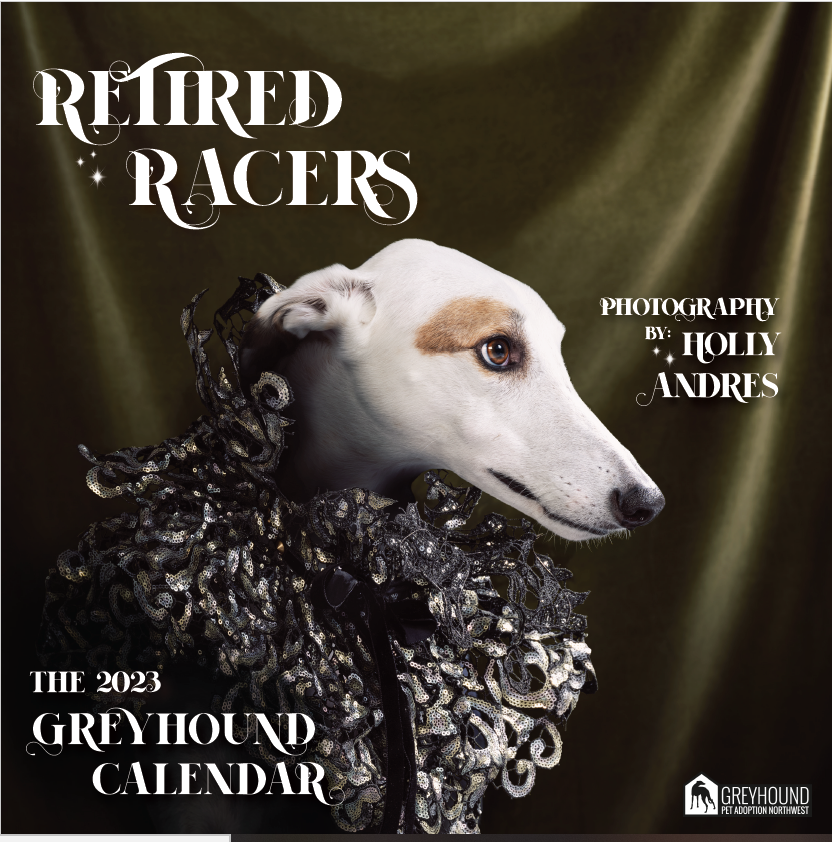 Store 1 Greyhound Pet Adoption Northwest
