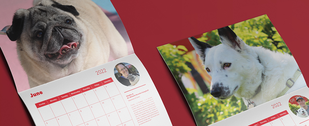 Teacher 39 s Pet Calendar Teachers Pet The University Of Winnipeg