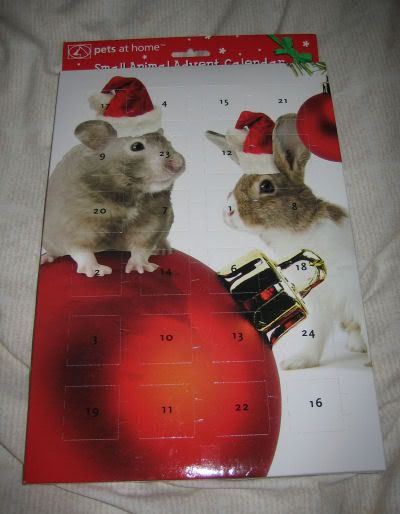 The Hamster Advent Calendar Hamster Central