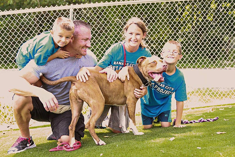 Volunteer KC Pet Project