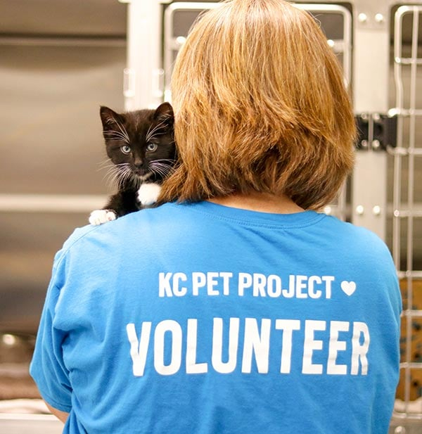 Volunteer KC Pet Project