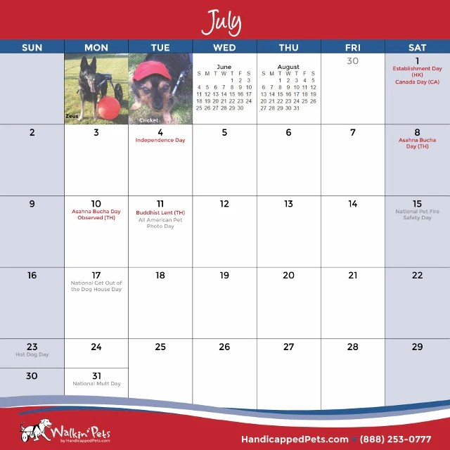 Walkin Pets Calendar Contest Printable Word Searches