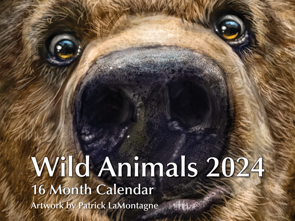 Wild Animals 16 Month Calendar 2024 Pacific Music And Art