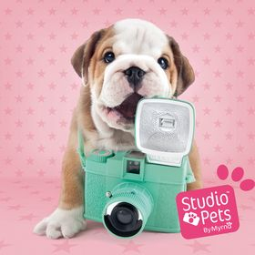 16 Studio Pets By Myrna Trade Shows Ideas Pets Studio Trade Show