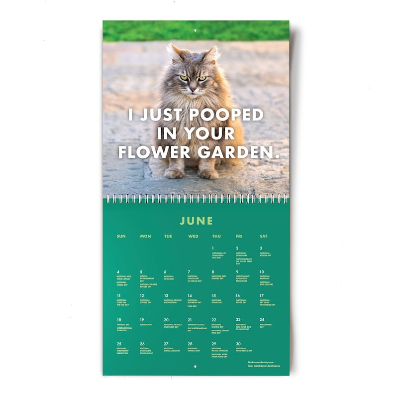 2023 Pissed off Cats Calendar Funny Cat Wall Calendar Etsy Canada