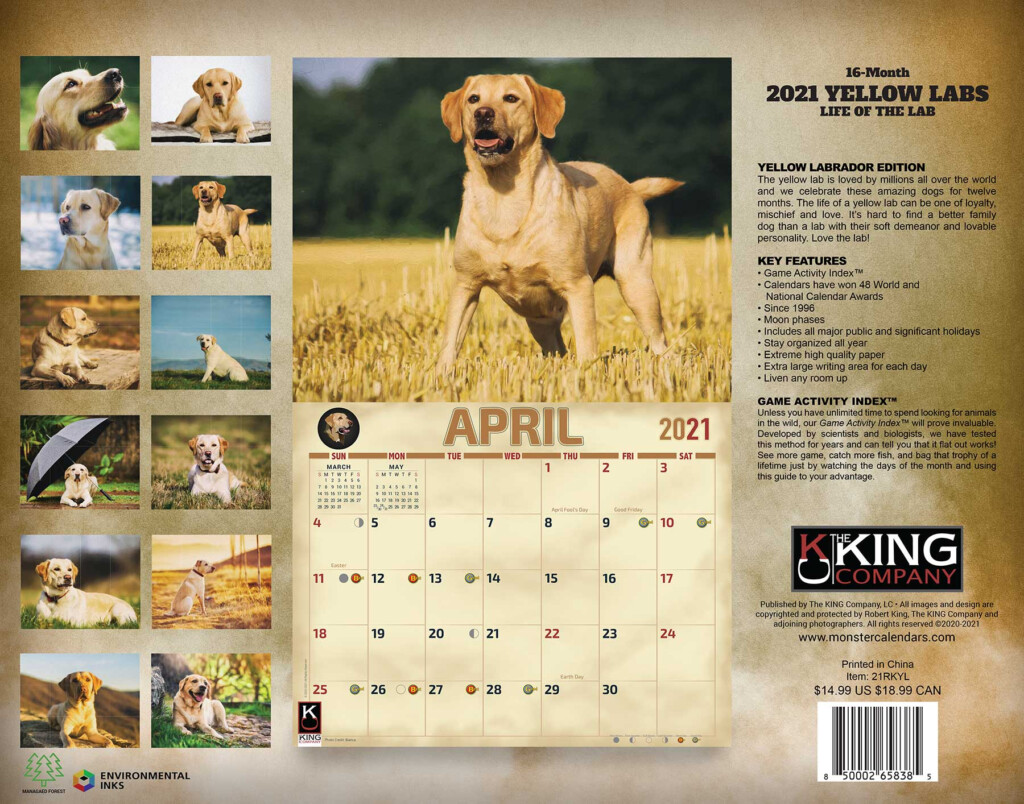 2024 Dog Calendar Calendar Printables