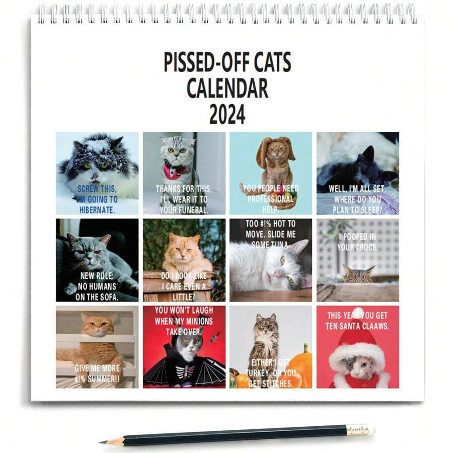 2024 Pissed Off Cats Calendar Funny Sassy Holiday Gift For Cat 