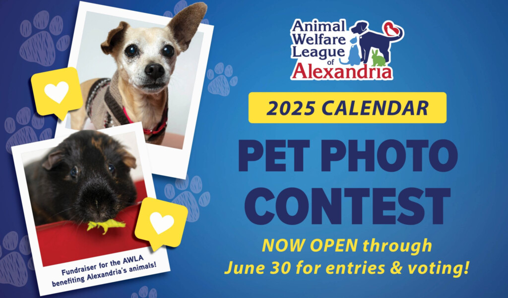 2025 Calendar Pet Photo Contest Alexandria Animals