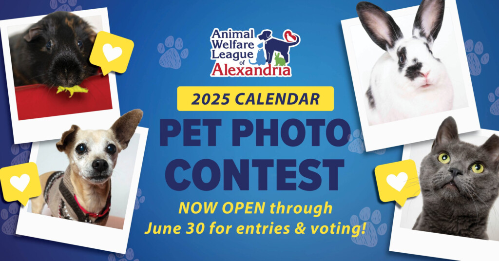 2025 Calendar Pet Photo Contest Alexandria Animals