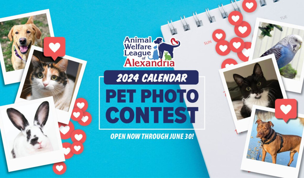 2025 Cutest Pet Calendar Turner Fabrice