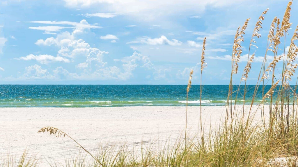 9 Fun Things To Do In St Pete Beach Florida