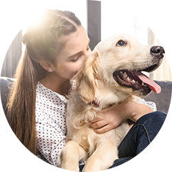 Affordable Vet Lewisville TX Pet Wellness Community Pet Outreach