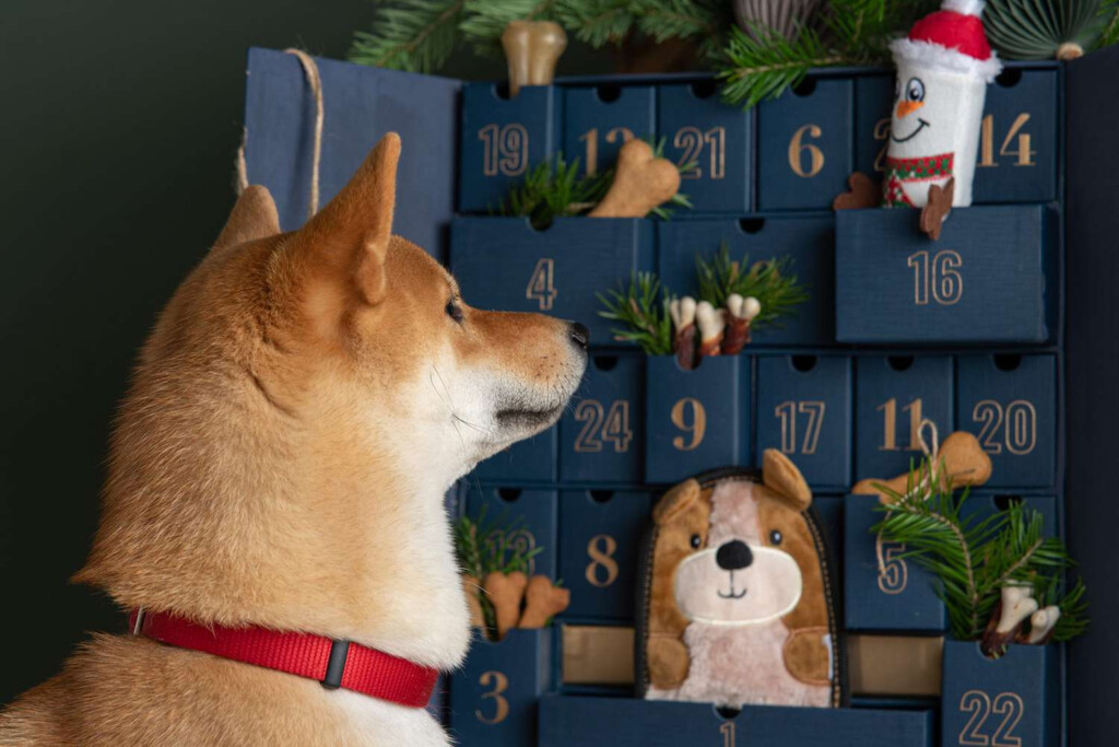 Aldi Recalls Dog Cat Advent Calendars Because Of Possible Choking Hazard
