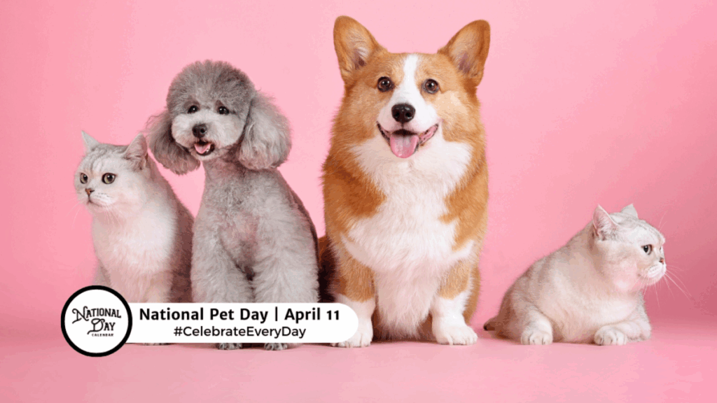 APRIL 11 2024 NATIONAL PET DAY NATIONAL EIGHT TRACK TAPE DAY 