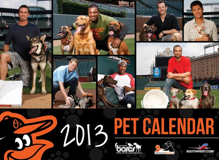 Baltimore Orioles Pet Calendar Baltimore Orioles Baseball Baltimore 