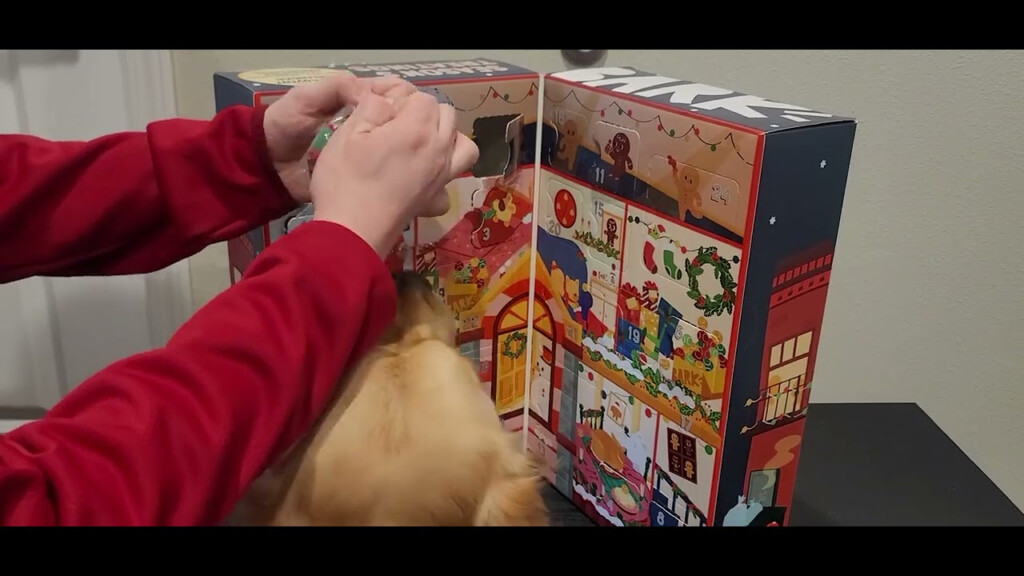 Bark Box Advent Calendar 2025 Mei Vankoning