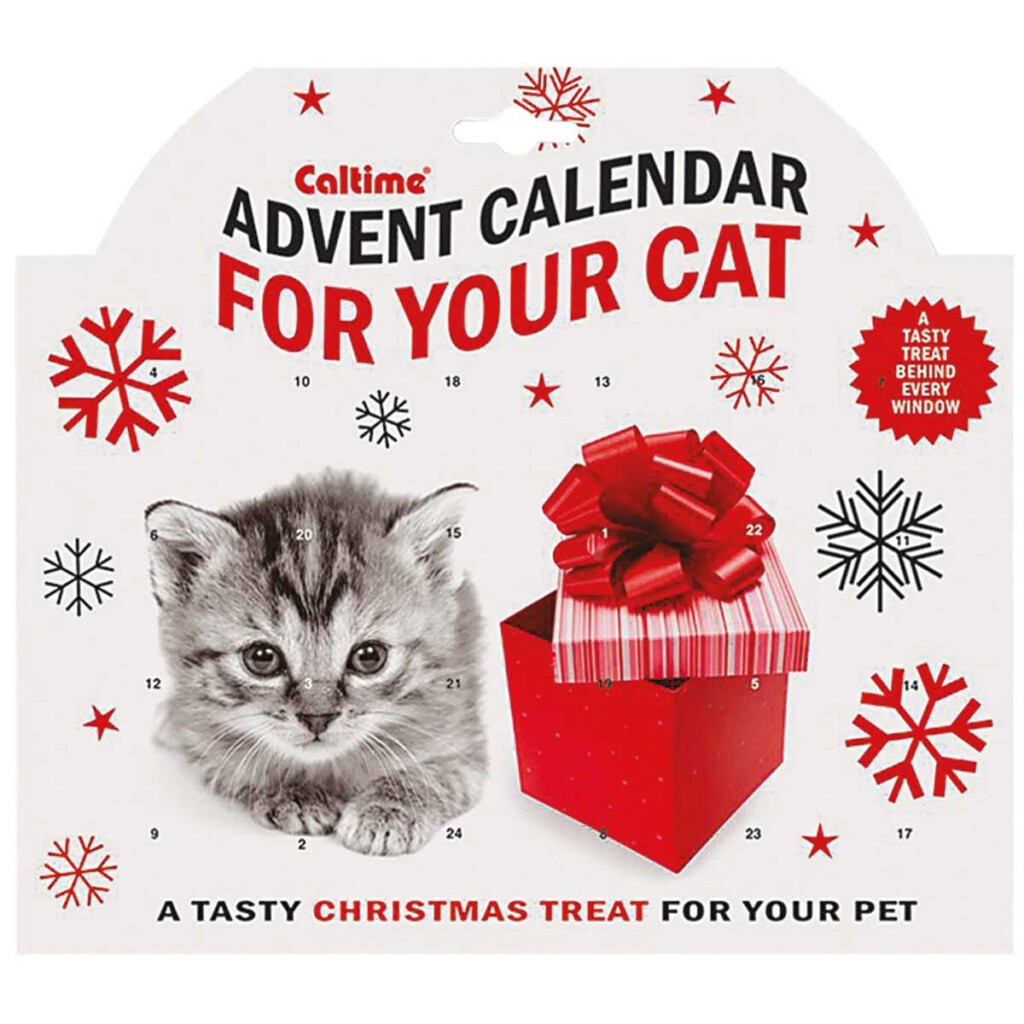 Cat Treat Advent Calendar 2025 Shelia L Taylor